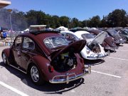 Beetle Show Rioz (88)